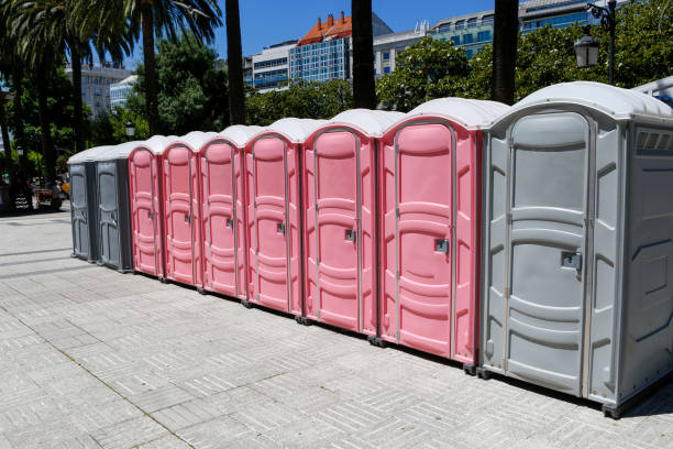 Best Portable Restroom Removal and Pickup  in Albion, NE